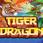 A colorful promotional image featuring a tiger and a dragon in an intense face-off, with bold text reading 'Tiger and Dragon' in the center. The vibrant background includes fiery and mystical elements, highlighting the theme of the game.